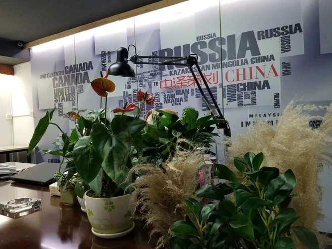 全鏈條策劃與展示服務 驅動企業增長與城市活力的新引擎