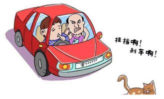 學(xué)員這樣練車,真是所有教練的噩夢 駕校